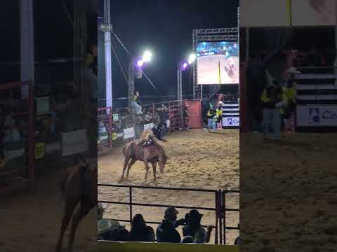 Robertinho Expoap 2026 Rodeio Paraguaçu-MG