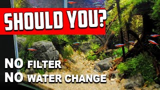 Why No Filter, No Water Change Aquariums Are NOT For Everyone
