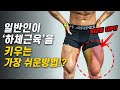 너무 굵지않은 쫙-쫙- 갈라진 '하체근육'을 만드는 쉬운 방법!?