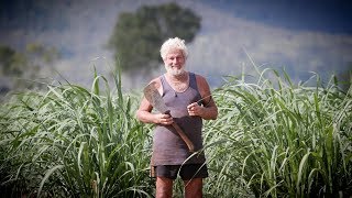 Do Australians Need a Sugar Intervention? | Times Documentary