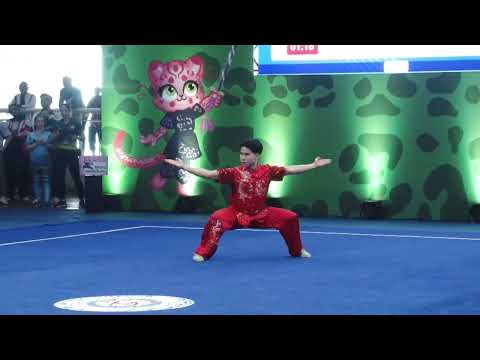 2025 17th World Wushu Championships - (INA) 9th place   Men's Changquan Final (top 12)