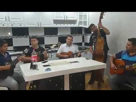 stevan vladislav generacijo