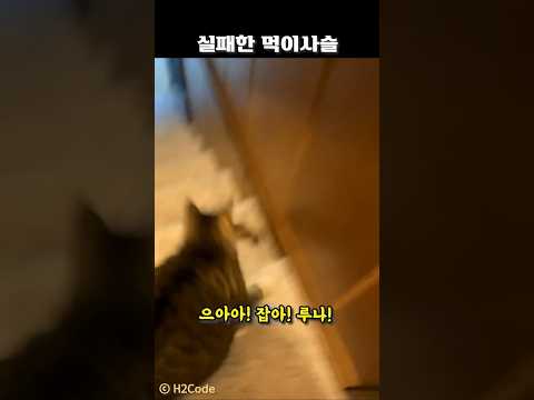 실패한 먹이사슬