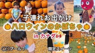 【子連れ映えスポット】ハロウィンカボチャの季節がやってきた/1、2歳を連れてお出かけ/ハーフキッズ/子育て/カナダ