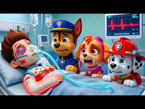 ¡RYDER por favor, despierta! ¿Qué habrá pasado ¡No llores, SKYE! | PAw PaTRol en Español