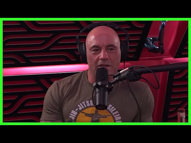 neil young spotify joe rogan neil young spotify joe rogan