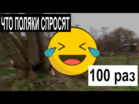 Жизнь в Польше. Какой вопрос вам зададут поляки 100 раз ЖИЗНЬ В ПОЛЬШЕ