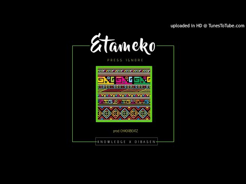 Press Ignore - Etameko (Official Audio)