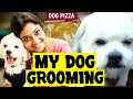 My Dog Grooming Fun Vlog With Neelima Esai Neels