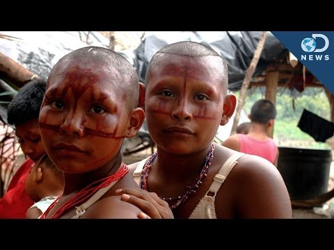 今天還有多少孤立的部落存在？ (How Many Isolated Tribes Still Exist Today?)