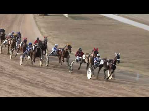 2020.02.29. 05. futam - SALUS HENDIKEP