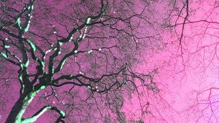 Lyna Galliara - Living (SNIPPET)