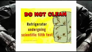 Livin in the Fridge; Weird Al Yankovic