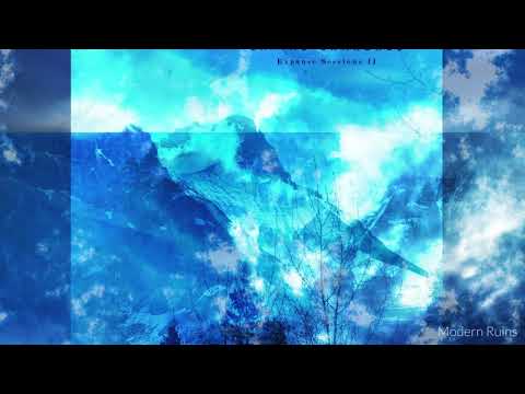 In The Branches - Expanse Sessions II (Full Album, Ambient Guitar, Space Music, Sleep Music)