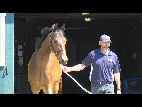 SOLD! A Day in the Life of Rising Star ISF, July 2022