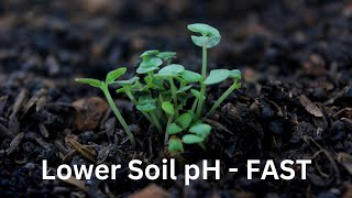 HOW TO LOWER pH IN SOIL FAST: SUMMARISED!