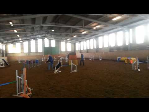 Agility 18.01.2014 Lolo & Günter A2 Platz 1