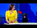 Best Dogs News Bloopers DEFAULT Thumbnail