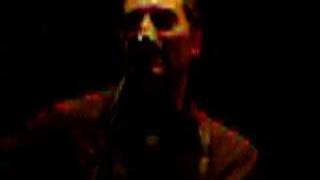 Jackopierce "Wildflowers"