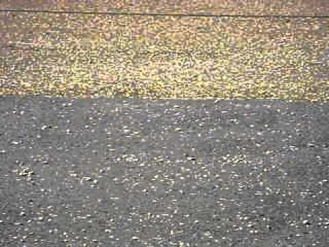 piques en asfalto Domingo, 17 de Julio de 2011