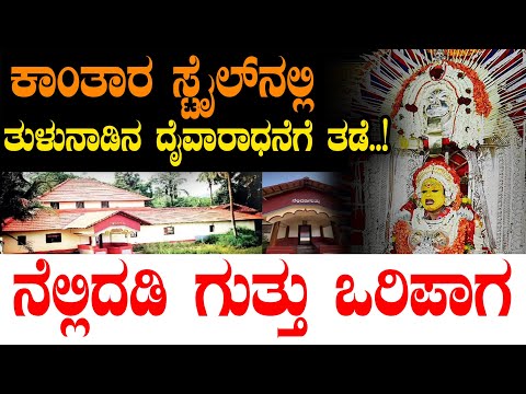 ಕಾಂತಾರ ಸ್ಟೈಲ್‌ನಲ್ಲಿ ತುಳುನಾಡಿನ ದೈವಾರಧನೆಗೆ ತಡೆ..! | Nellidadi guthu | #savenellidadigutthu