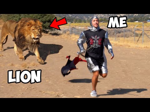Can I Survive In A Lion's Den For 60 Minutes Straight?