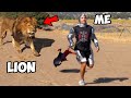 Can I Survive In A Lion S Den For 60 Minutes Straight