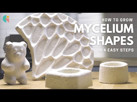 GIY Material Instructions - Grow Mycelium Shapes In 4 Easy Steps