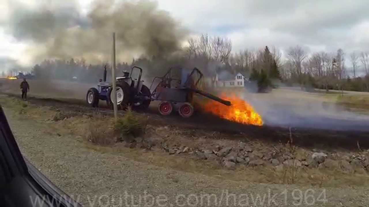 Burning Blueberry Fields (Thermal Pruning)