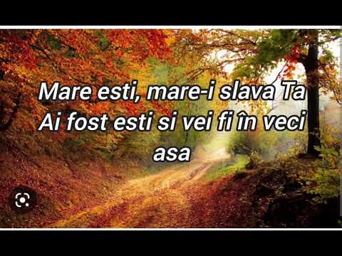 Ce mare esti o Doamne-Negativ(ton fata)