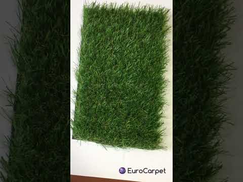 Декоративна трава AMSTERDAM 30