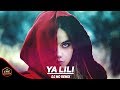 اغنية عربية ياليلي التي اشتهرت في جميع انحاء العالم | Ya Lili DJ MO Remix mp3