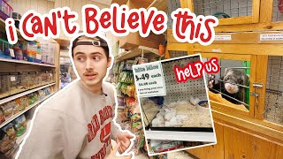 I WENT UNDERCOVER AT A PETSTORE 🐹🐰🔍