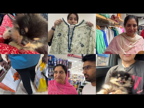 IN LOVING MEMORY OF MY BISKIT ♥️