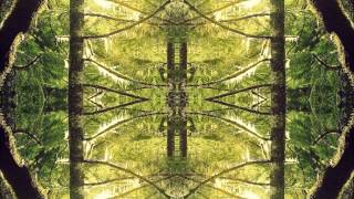 Syb Unity Nettwerk - Mind Rider
