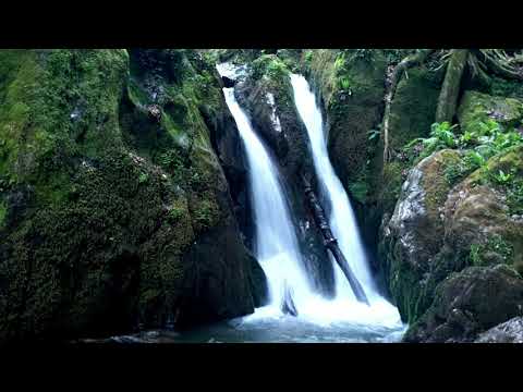 Bulza- Crivina de Sus -  Cascada Sopot - Margina -Zorani