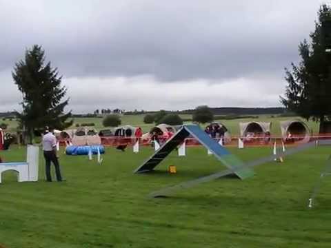 Turnier SV OG Kassel Ost - 19.09.2015 - A 3 - Mailo