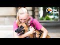 This Dog Stops His Mom S Panic Attacks The Dodo Soulmates