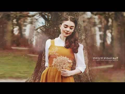 مجنون بك محمد ال مسعود