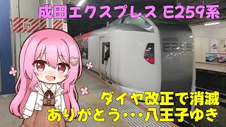 【鉄道旅ゆっくり実況】ダイヤ改正で消滅した「特急成田エクスプレス50号」八王子ゆきに乗り納めしたよ【#ゆく旅動画祭】
