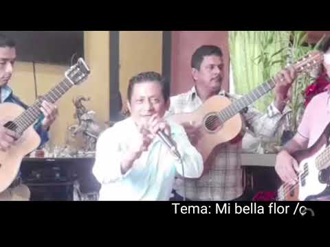 Rockola El Dan Dan full cuerdas