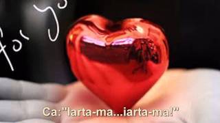 RONAN KEATING-Baby Can I Hold You[ROMANA] HD