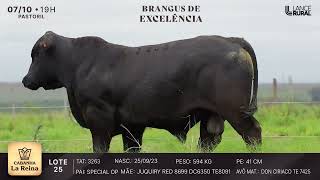 LOTE 25  3263