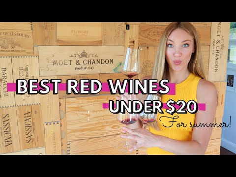 GREAT WINE UNDER $20 // 3 RED WINES For SUMMER 2020 That You NEED! (Ep. 2)