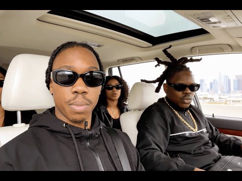 HP x Jooslyf - Phénomène