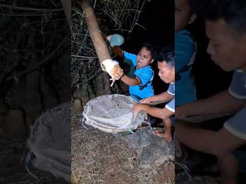 bercucuran #shortvideo #viral #animals