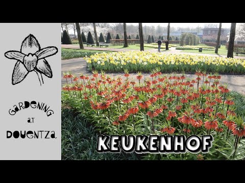 Mammoth Spring Flower Garden & Best Bulb Picks || Keukenhof, Netherlands March Visit