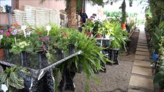 preview picture of video 'Casa das Plantas Tapejara RS'