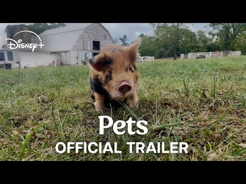Thumbnail of the video: Official Trailer