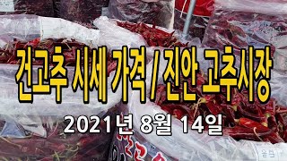 건고추 시세 가격 / 진안 마이산 고추시장 (2021년 8월 14일)